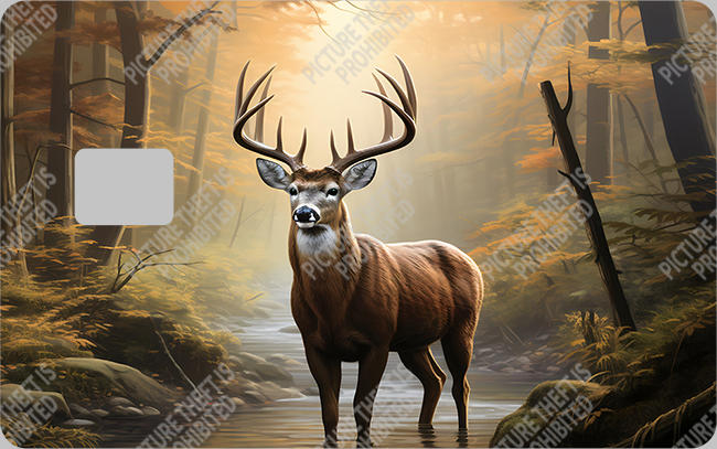 Bank  Card Sticker-BC-205